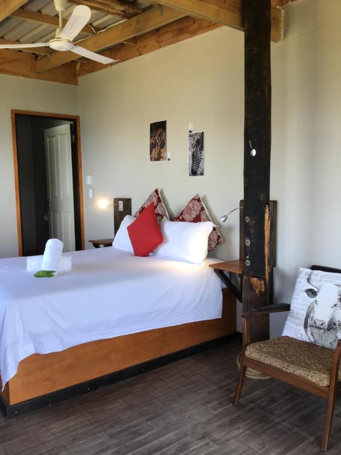 Coram Deo Saltywaves Double En-Suite Rooms With Sea Views Кофи Бей Екстериор снимка